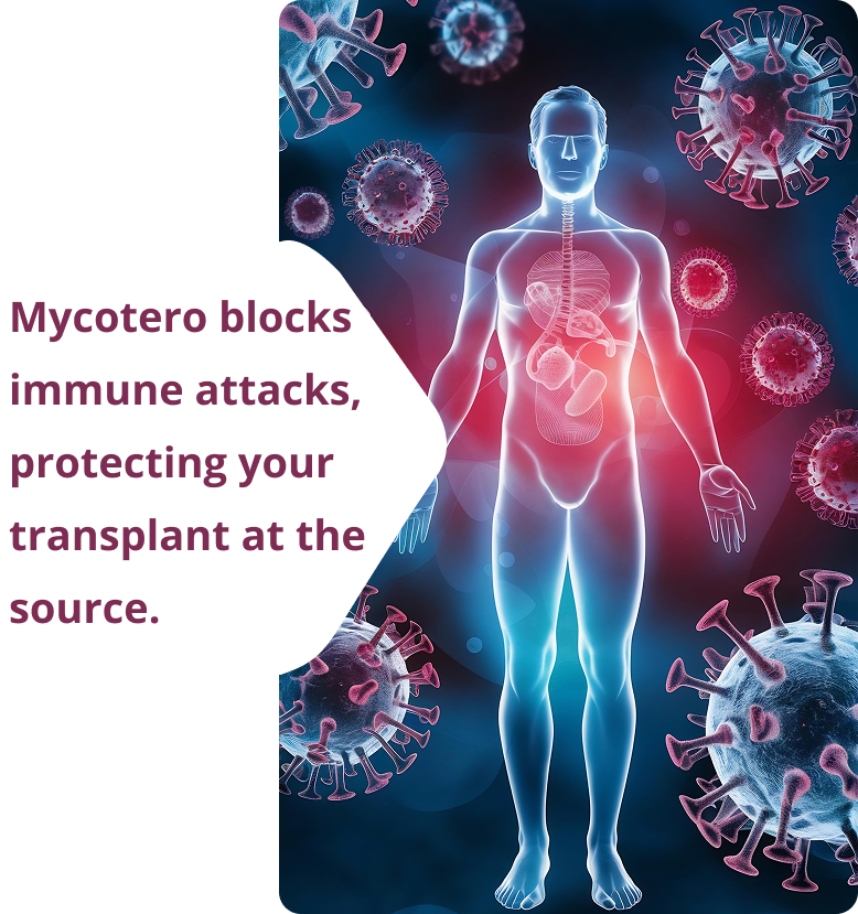 Mycotero 500mg Mycophenolate Mofetil tablets for transplant care