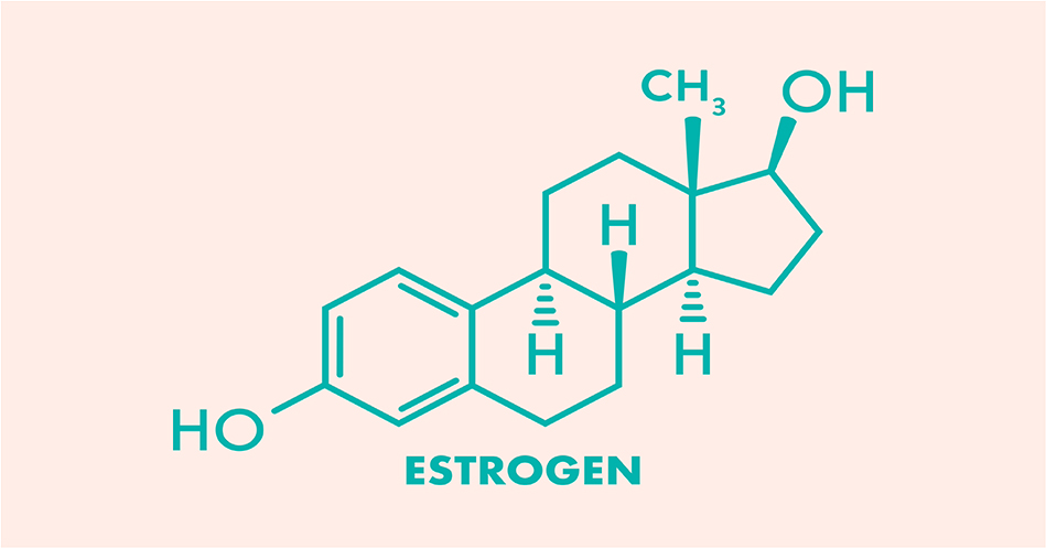 Amazing Facts about Estrogen