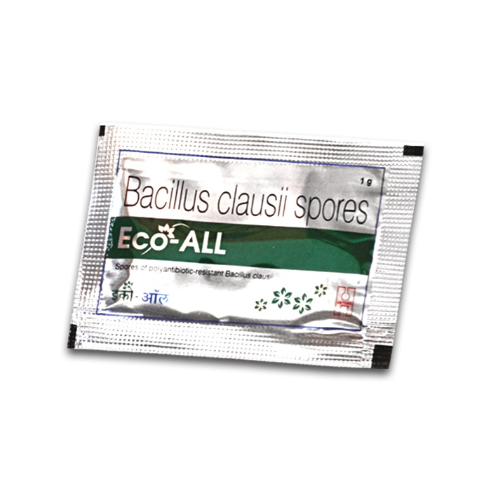 eco-allzsachet.png