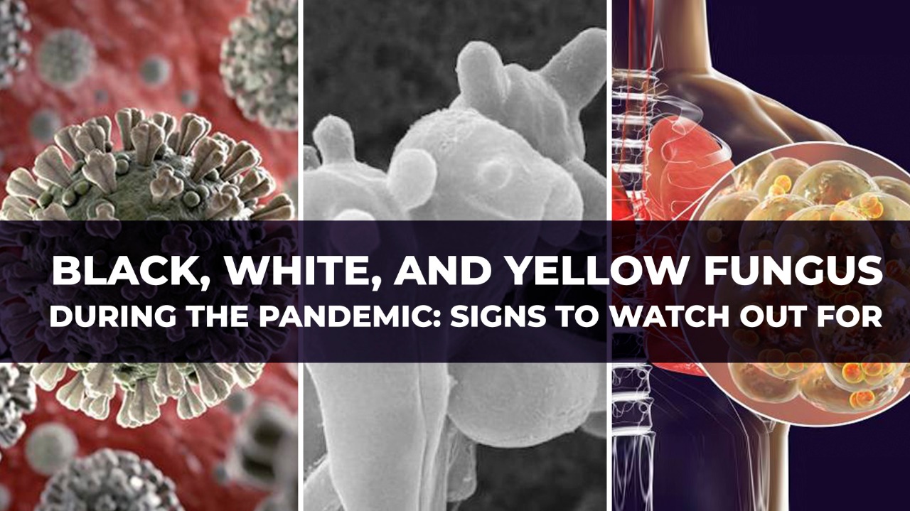 Understanding Black, White and Yellow Fungus and Prevention Tips for Fungal Infections