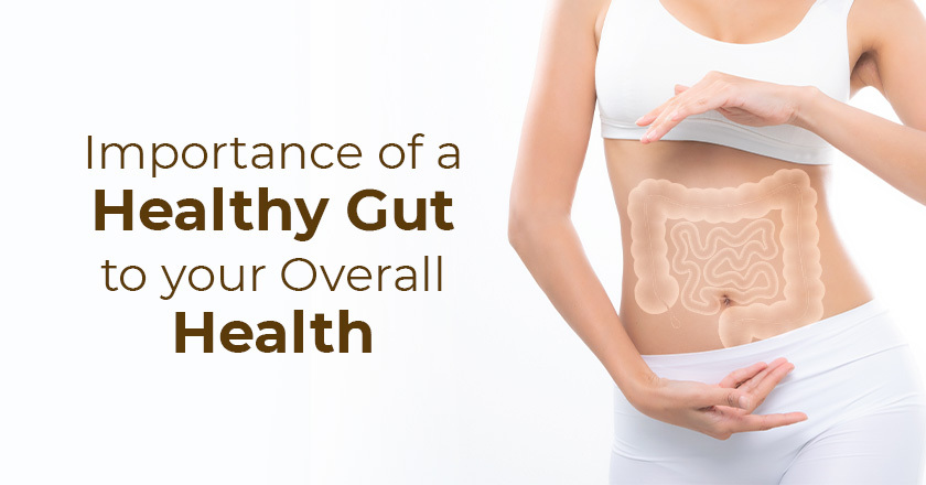 Importance of a healthy gut to your overall health