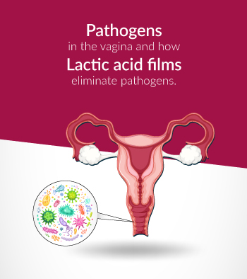 Importance of Lactic Acid in Maintaining Vaginal Health