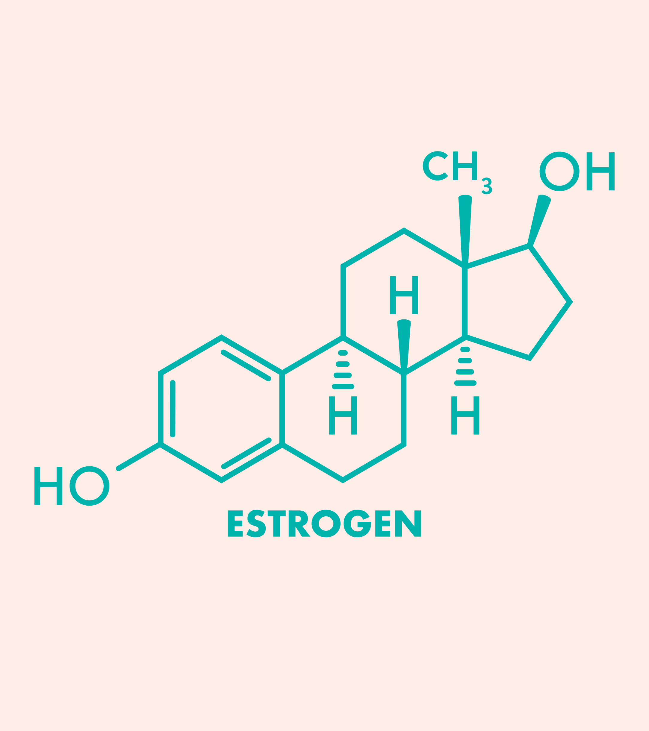 Amazing Facts about Estrogen
